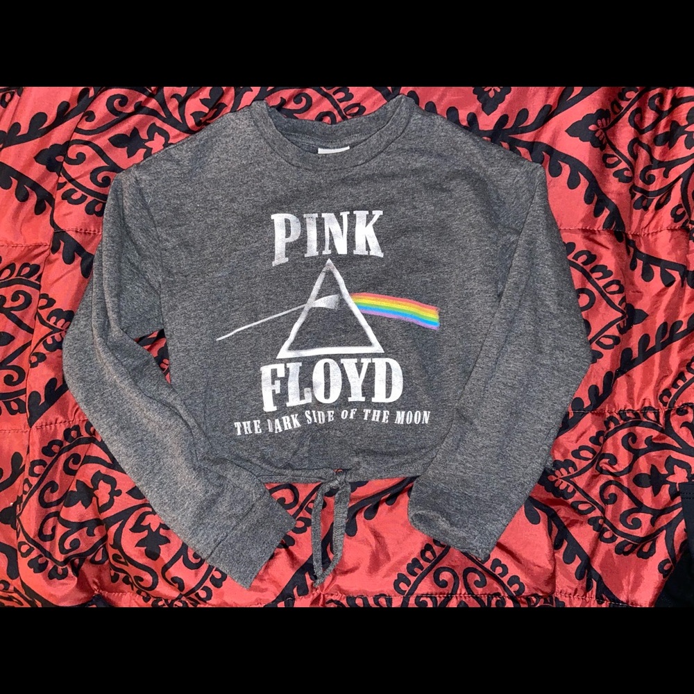 Cropped Pink Floyd sweatshirt